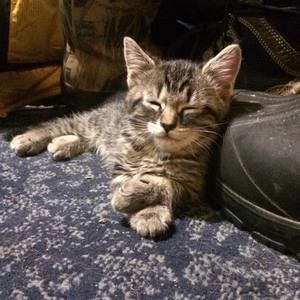 Meet your Posher, Caroline